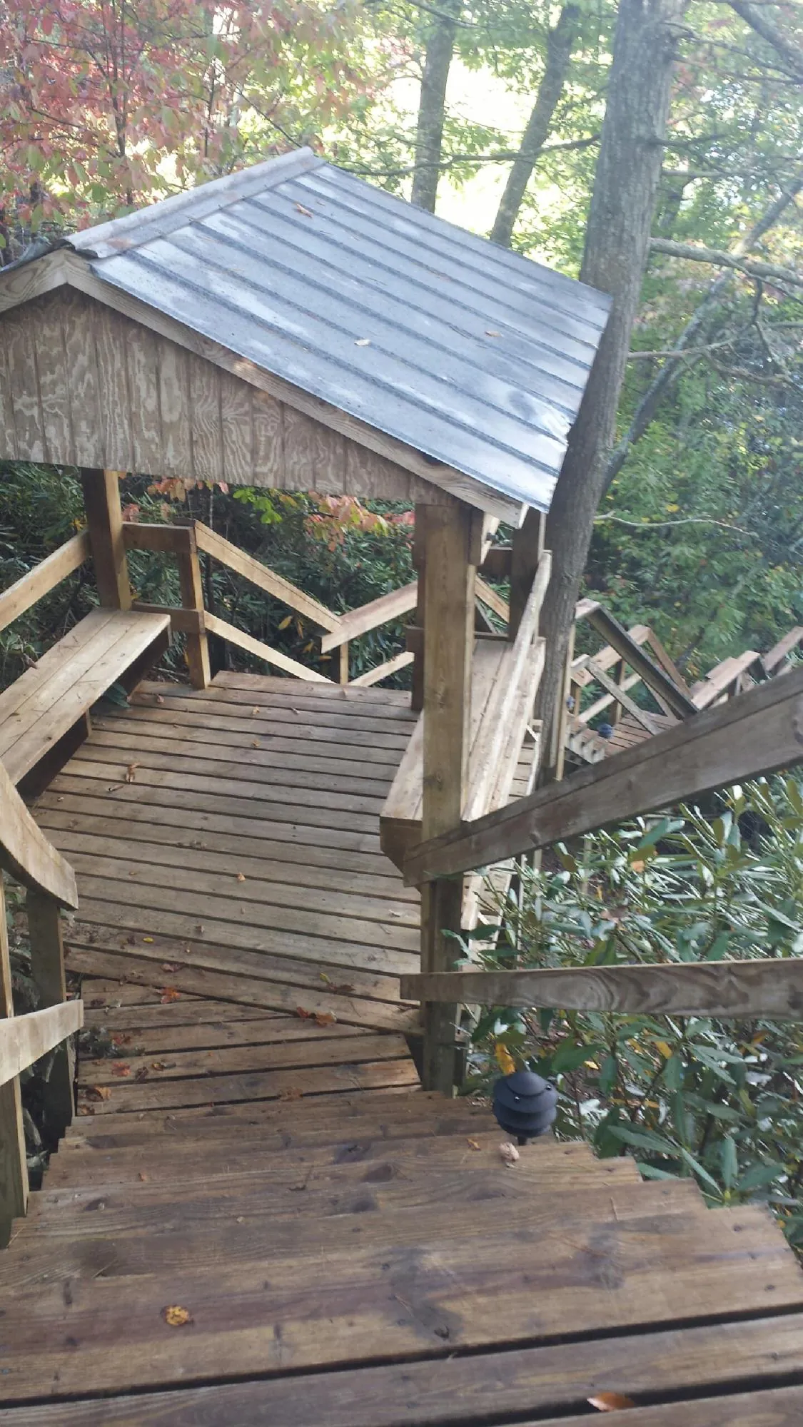 Metal roofed shelter over wooden steps on a wooded walkway — Skylight Repair & Installation work by our crew in Paragon